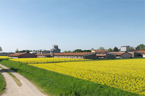 campagna agricola lodigiana-caseificio zucchelli